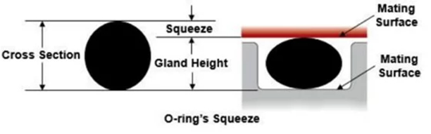 How to Compare Gaskets - Cross Section